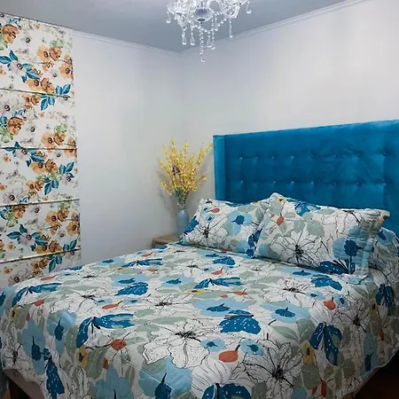 Depto Metro Santa Ana 6 Apartamento